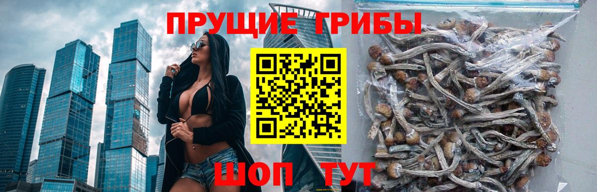 Галлюциногенные грибы мицелий  Вход с VPN  Россошь 